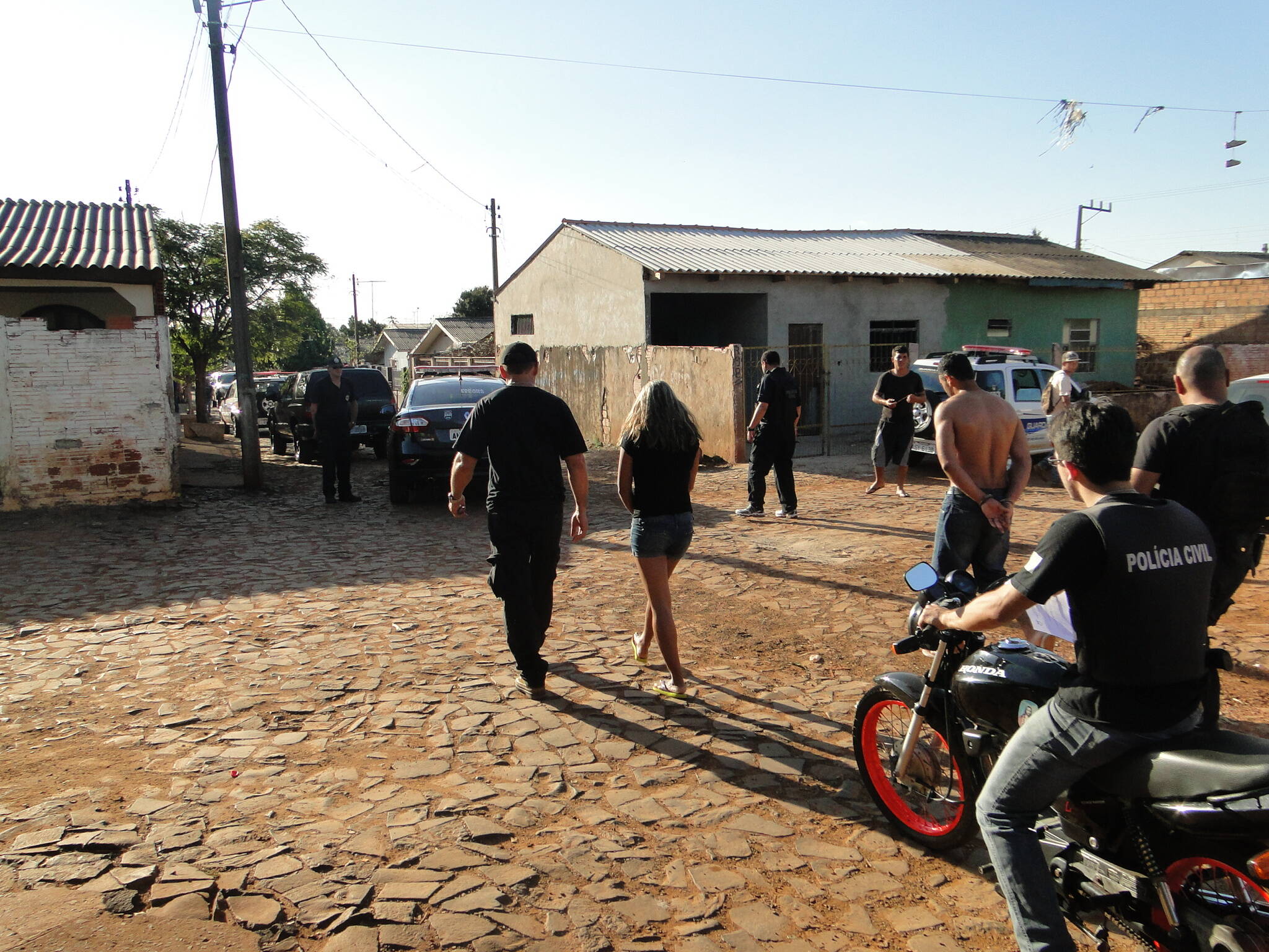 Cão farejador da Guarda Municipal encontra drogas em casas de favela