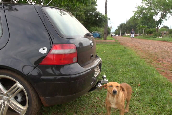 Homem é detido após trocar tiros com a polícia no Portal da Foz