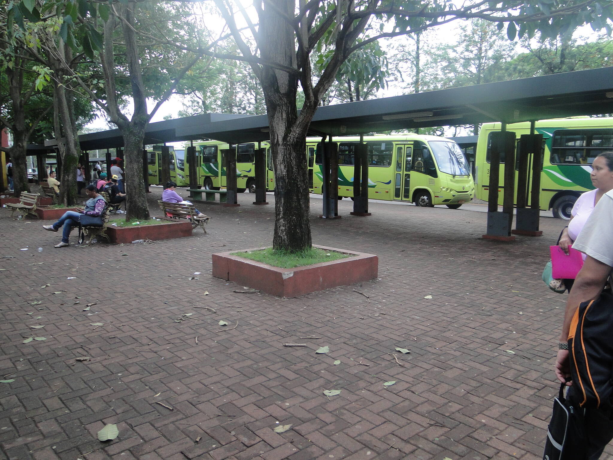 Após assembleia, 85% dos ônibus do transporte coletivo voltam a circular