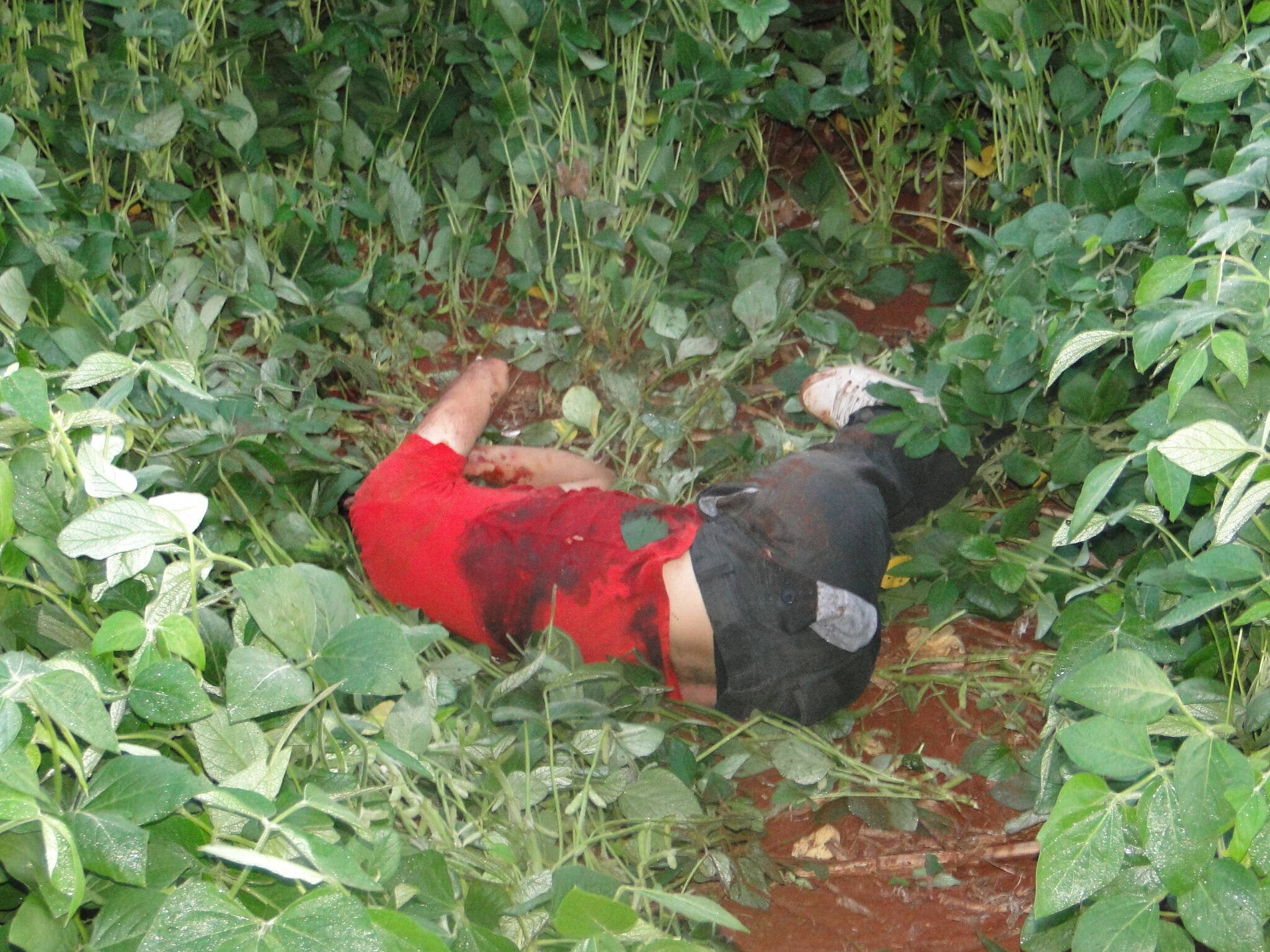 Homem é encontrado morto com 10 tiros em área rural