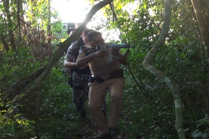 Policiais apreendem 755 kg de maconha em área rural