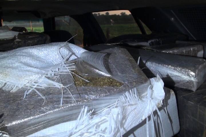 Policiais apreendem 755 kg de maconha em área rural