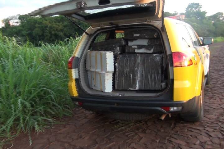 Policiais apreendem 755 kg de maconha em área rural