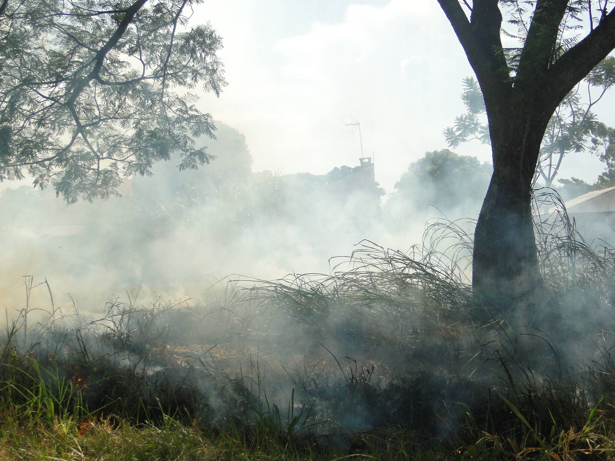 Bombeiros alertam sobre alto risco de incêndio ambiental