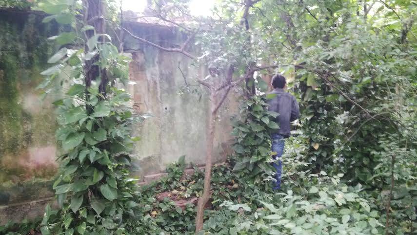 Câmera registra suposto crime de estupro no centro da cidade