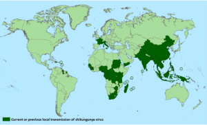 mapafebre chikungunya
