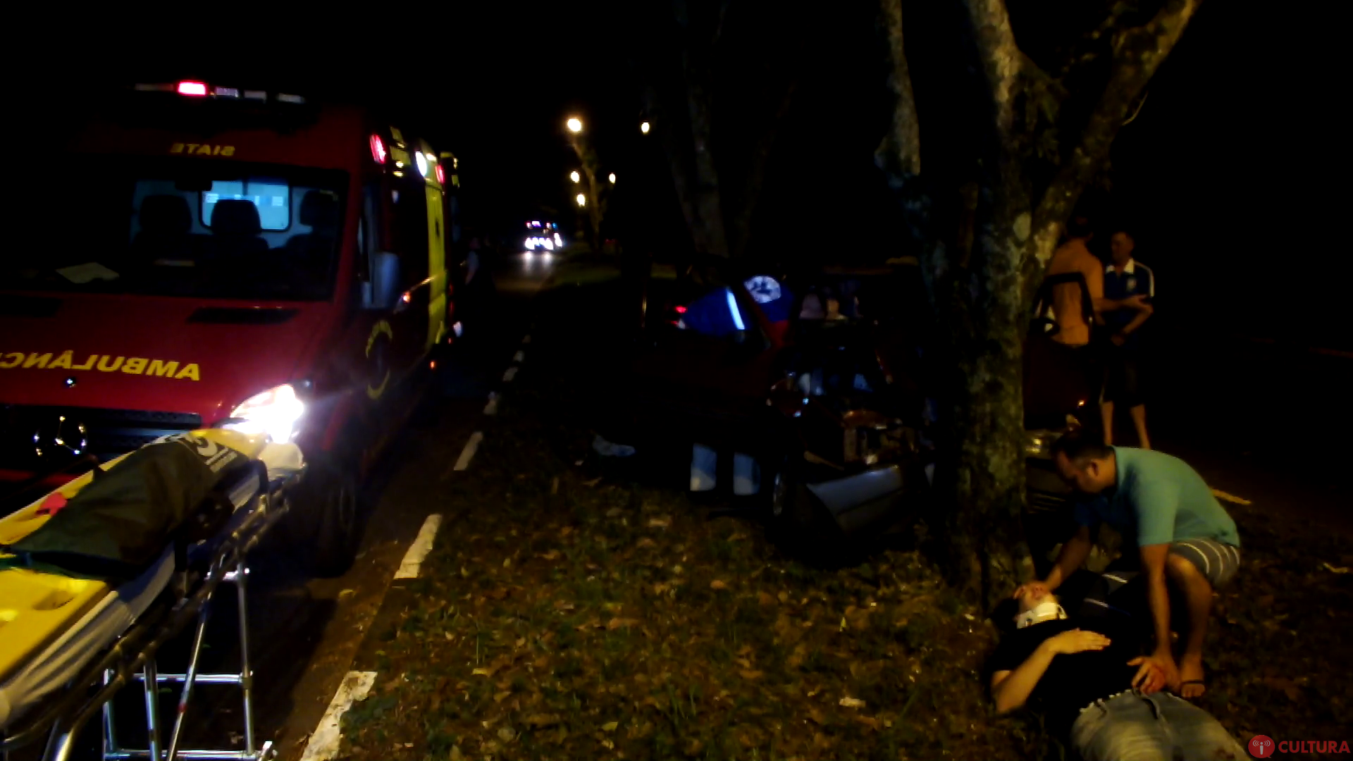 Veículo bate em árvore no Jardim Eliza
