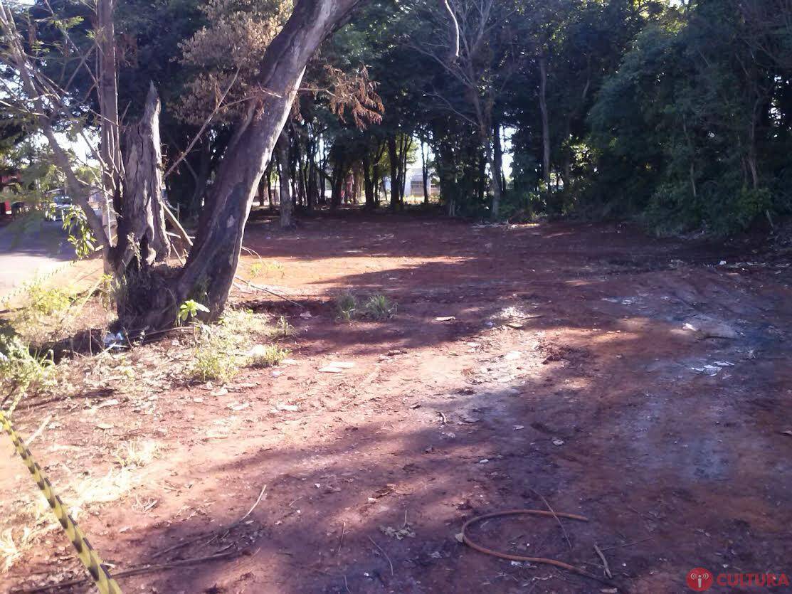 Mutirão de limpeza é feito no Três Lagoas