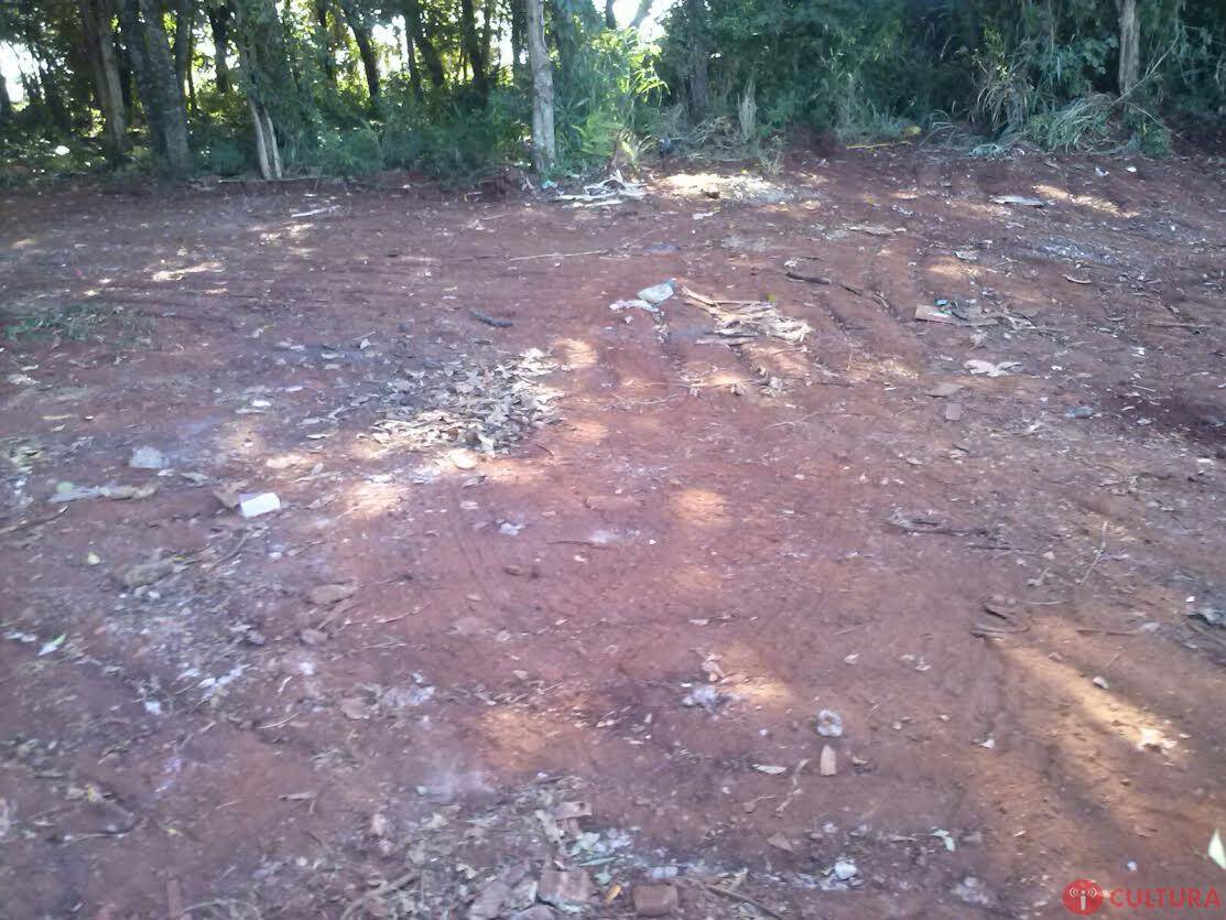 Mutirão de limpeza é feito no Três Lagoas