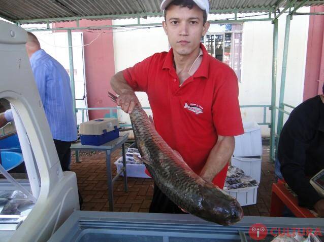 A 12ª edição da Feira do Peixe Vivo de Foz será no CTG Charrua