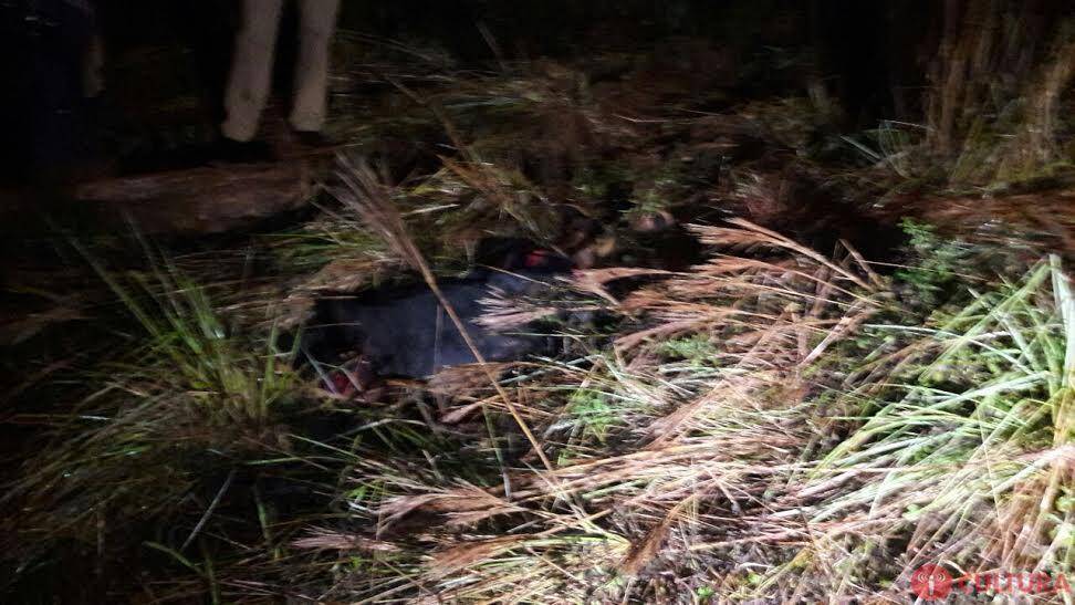 Identificado jovem encontrado morto à golpes de faca, no Colombeli