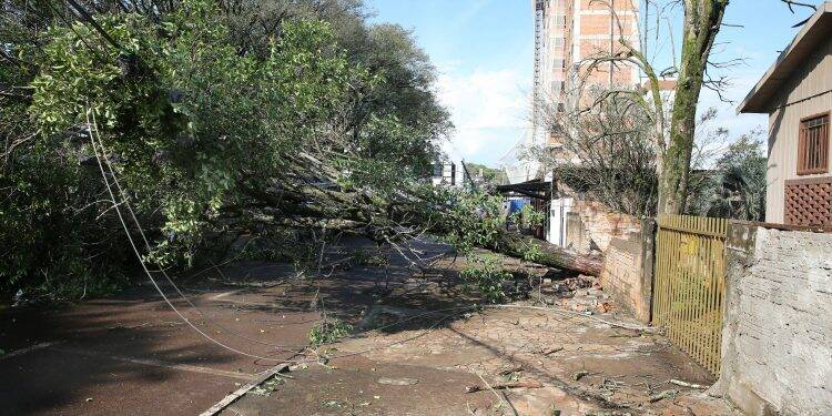 Chega a quase 18 mil o número de pessoas afetadas pelos temporais