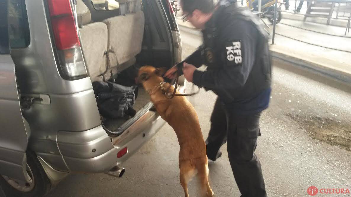 Efetivo da Operação Muralha já atua na Ponte da Amizade