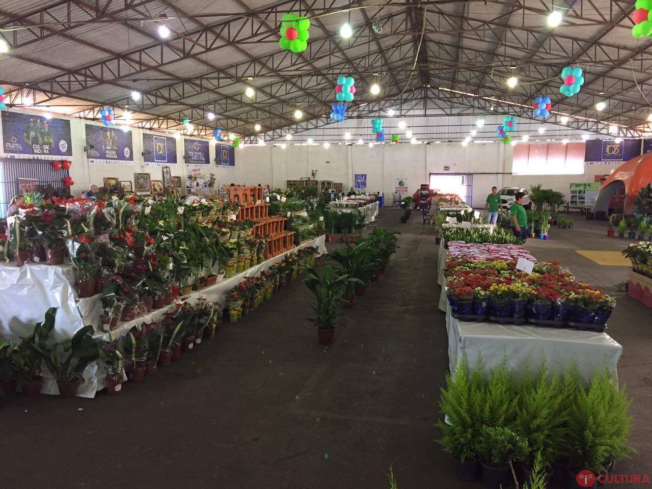 Eco Flores segue até o próximo domingo no Charrua