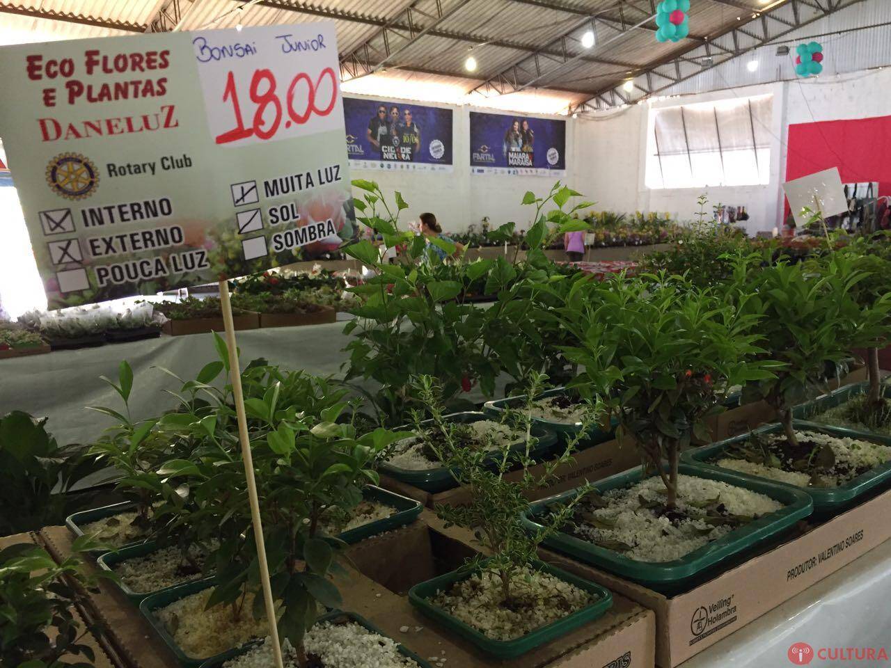 Eco Flores segue até o próximo domingo no Charrua