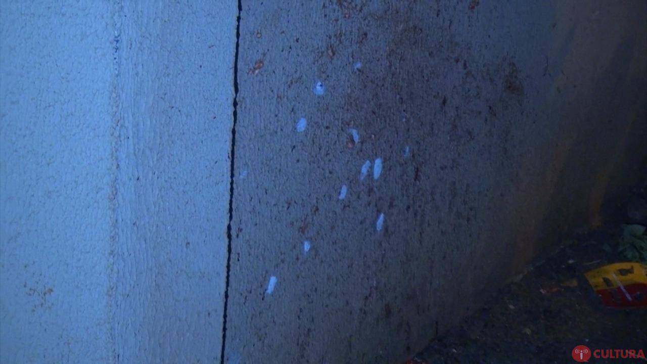 Homem foi assassinado tomando tererê em frente de casa