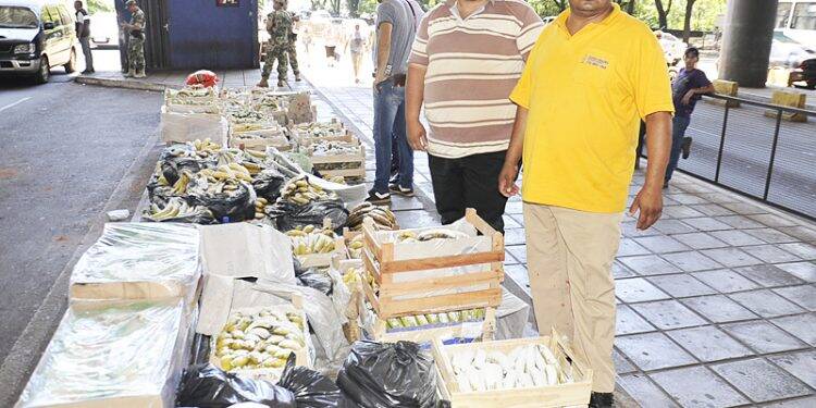 Bananeiros paraguaios tentam impedir entrada da fruta brasileira pela Ponte da Amizade
