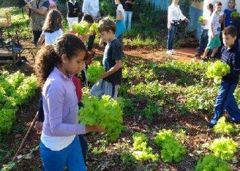 Município quer implantar programa de hortas escolares