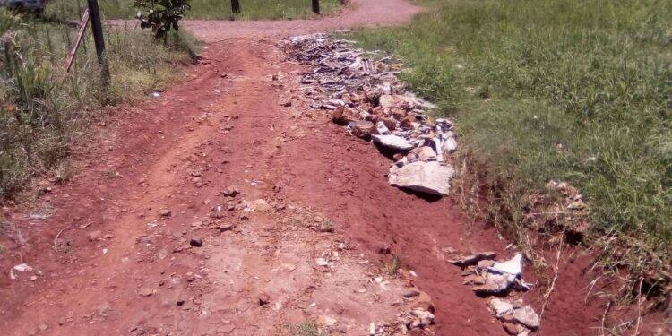 Moradores do Vale do Sol reclamam da má condição das ruas