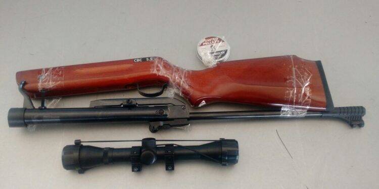 Mulher foi presa com carabina na Ponte da Amizade