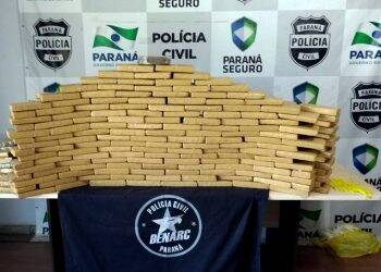 Denarc apreendeu em 2017 mais de 68 toneladas de drogas no Paraná
