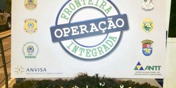 Receita apreende cabelo contrabandeado na Ponte da Amizade