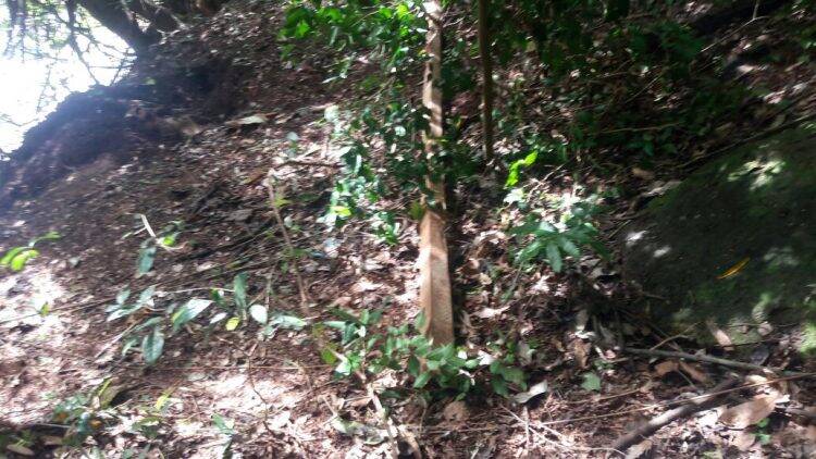 Familiares encontram corpo de homem desaparecido desde domingo