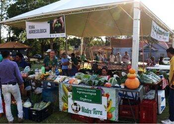 Foz do Iguaçu ganha feira semanal de produtos orgânicos