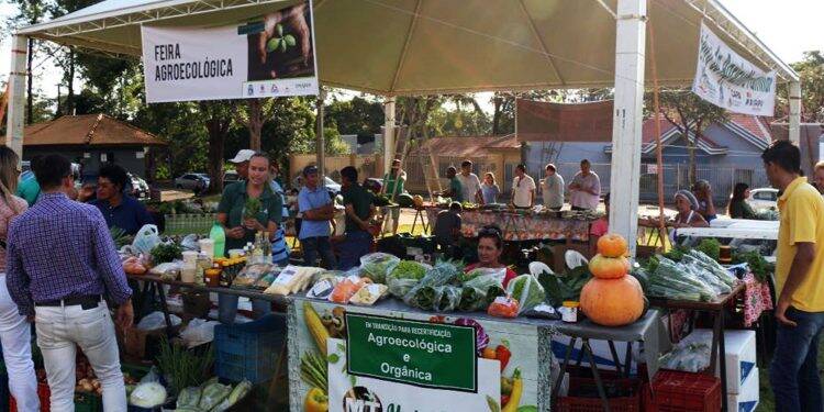 Foz do Iguaçu ganha feira semanal de produtos orgânicos