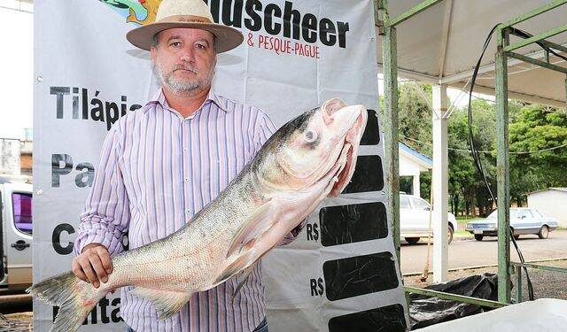 Feira do peixe vivo começa amanhã no parque charrua
