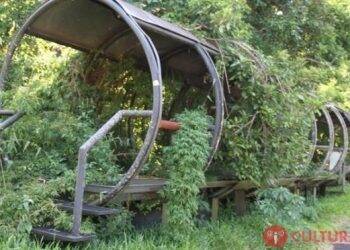 Processo que apura abandono de  estações-tubo em Foz terá novo julgamento