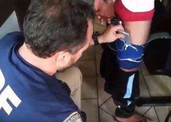 PRF apreende 600 munições de fuzil escondidas com adolescente