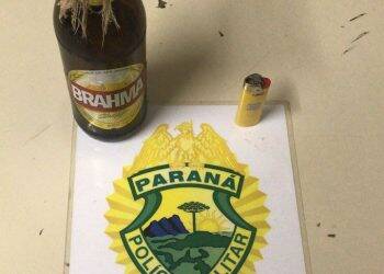 Polícia prende homem com coquetel molotov durante manifestação contra Lula