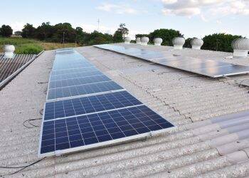Associação de Catadores de Santa Terezinha utiliza luz solar para produzir energia