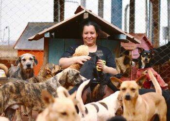 Governo simplifica cadastro de entidades no Nota Paraná