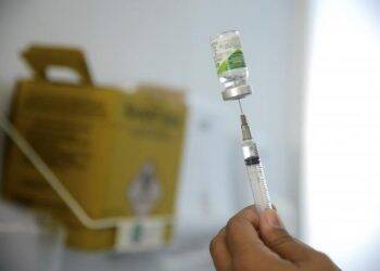 Conheça os diferentes tipos de vírus da gripe que circulam pelo Brasil