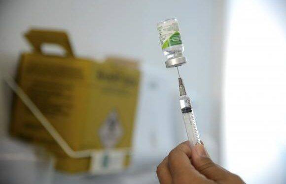 Conheça os diferentes tipos de vírus da gripe que circulam pelo Brasil
