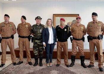 Governo do Paraná cria divisão policial de combate à corrupção