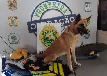 Drogas e eletrônicos apreendidos na Ponte da Amizade