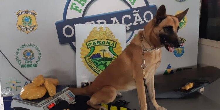 Drogas e eletrônicos apreendidos na Ponte da Amizade