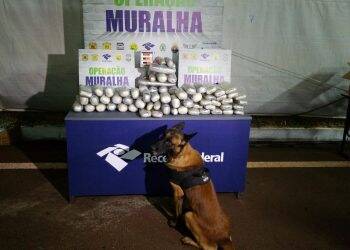 Polícia apreende guincho com tês veículos recheados com 68 kg de haxixe