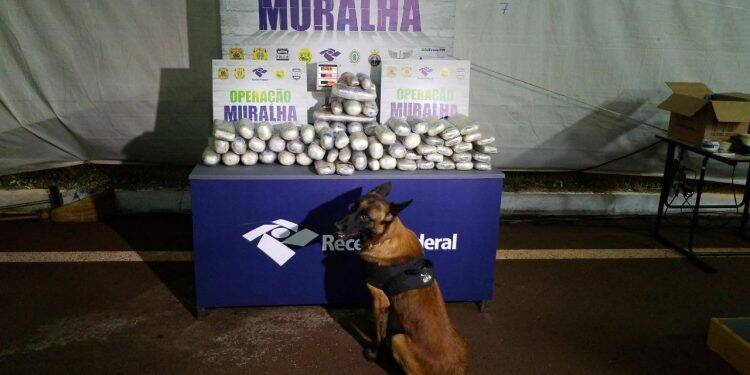 Polícia apreende guincho com tês veículos recheados com 68 kg de haxixe