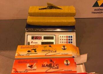 Mulher é presa com maconha escondida em caixas de essência para narguilé