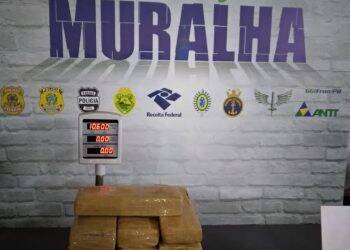 Maconha é apreendida em ônibus com destino a Curitiba