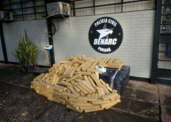 Homem é preso em motel com 687 kg de maconha