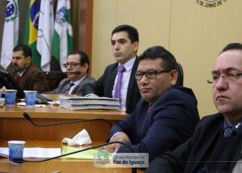 Conselho de Ética vota a favor do afastamento de Nanci por 30 dias