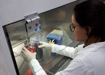 Pesquisadores da Unila buscam medicamento e vacina para leishmaniose canina