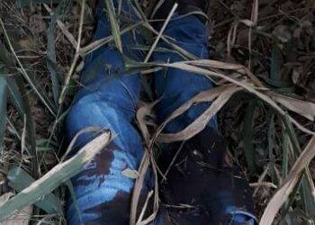Homem é encontrado morto na Aparecidinha