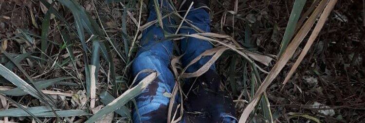 Homem é encontrado morto na Aparecidinha