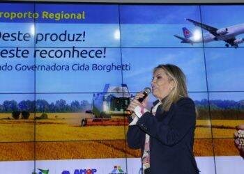 Governadora desapropria área para construção de aeroporto entre Cascavel e Tupãssi